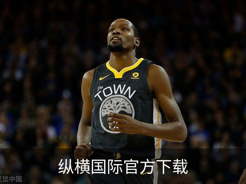 关于纵横国际官方下载